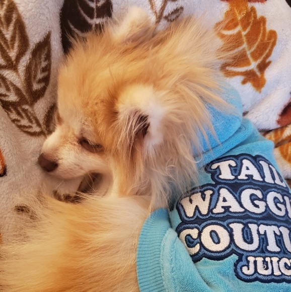 Shop info <3 Please read!!!! Send your offers <3 - Picture 4 of 4